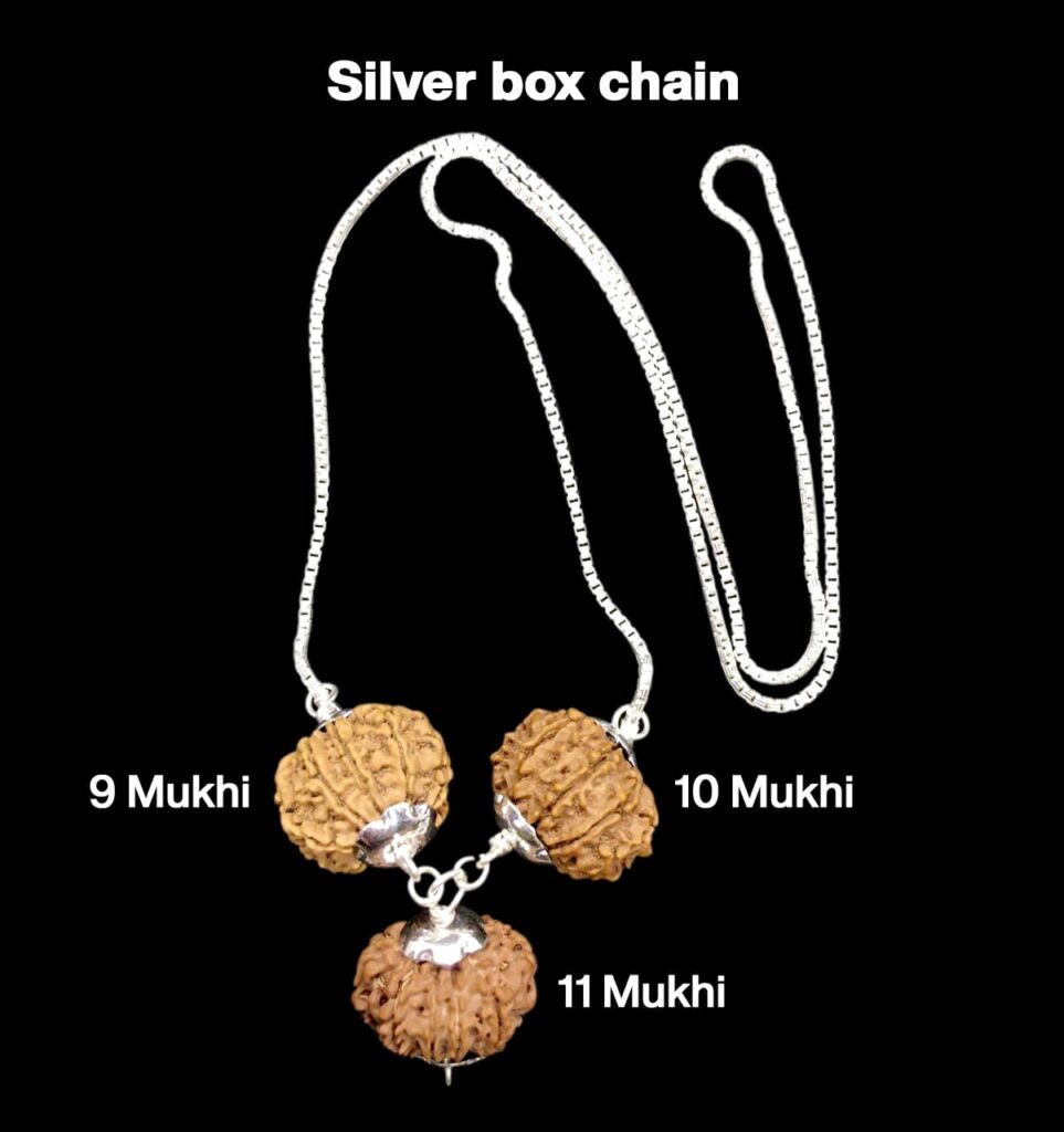 Rudraksha Combination for Total Protection 9,10,11 Mukhi Nepal in Silver Chain