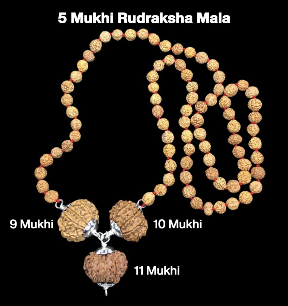 Rudraksha Combination for Total Protection 9,10,11 Mukhi Nepal in Rudraksha Mala