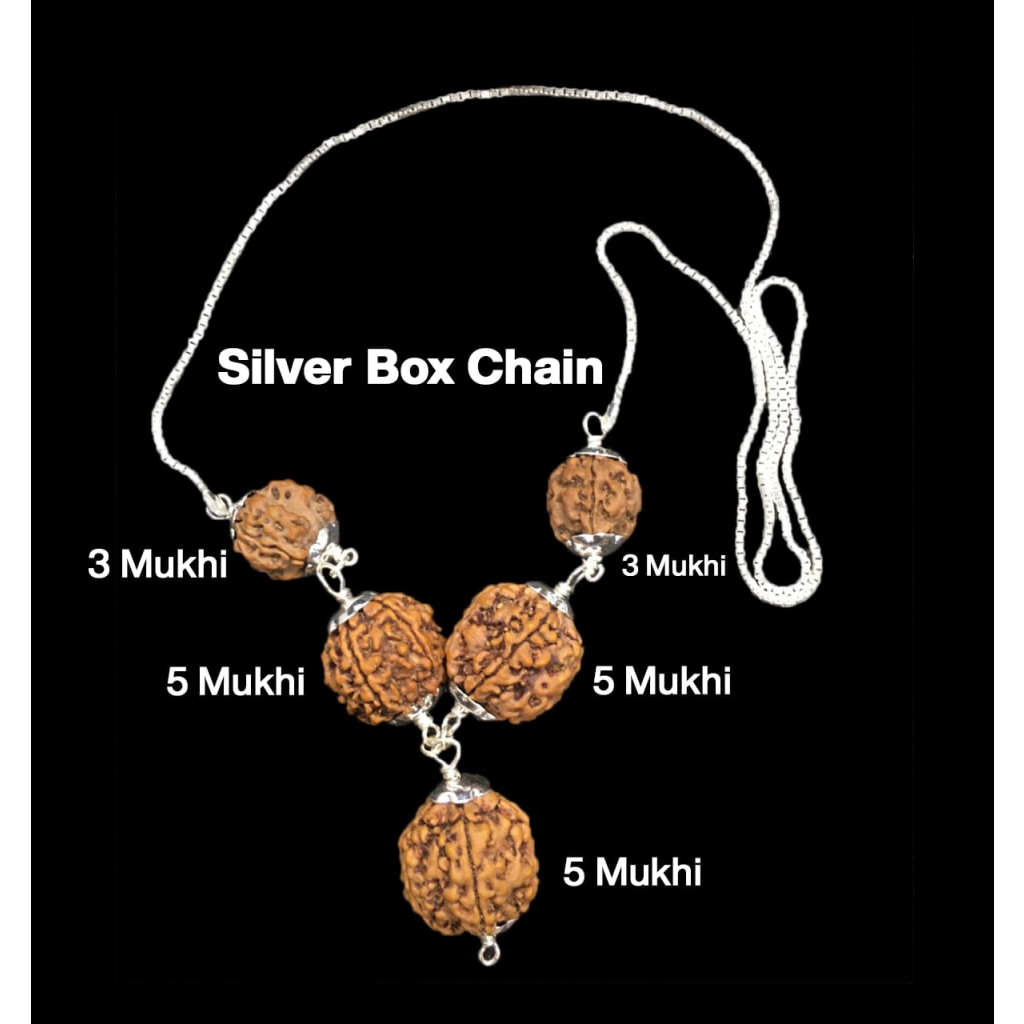 Health Power 3,3,5,5,5 Mukhi Nepal