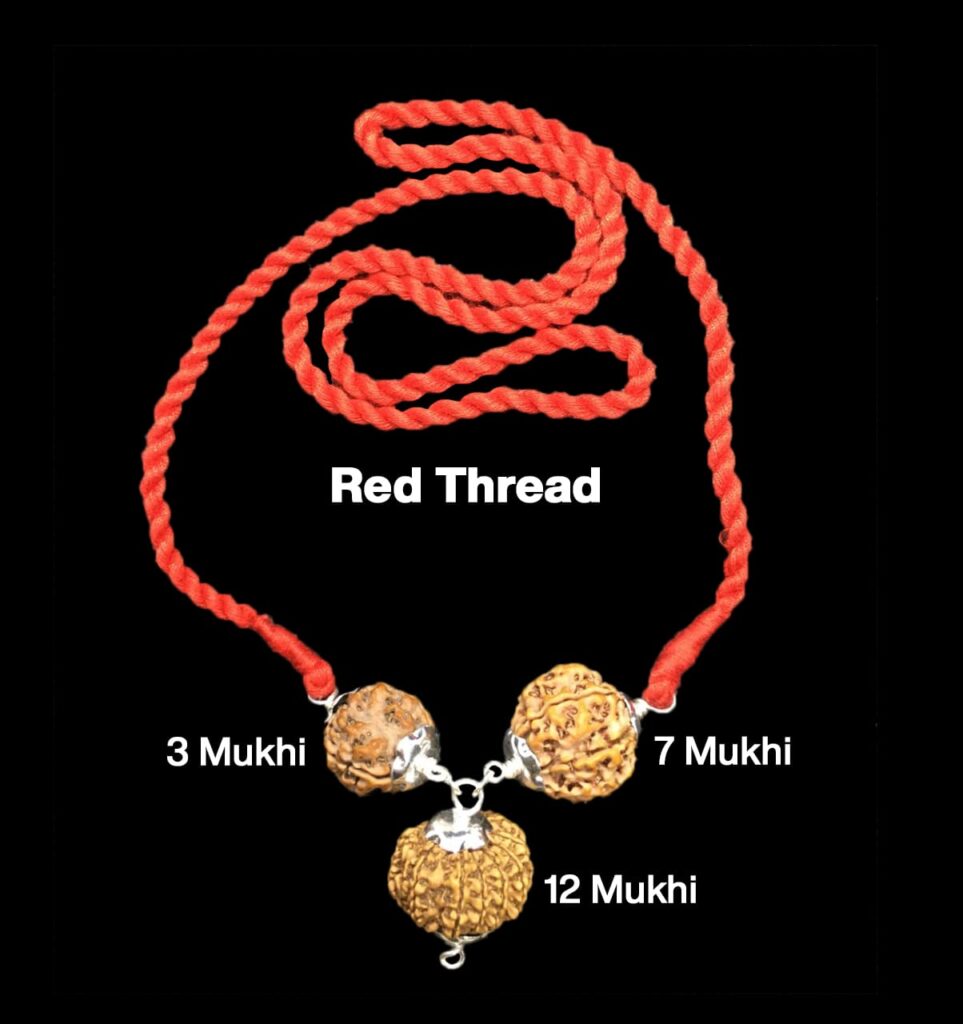 Rudraksha Combination for Career 3,7,12 Mukhi Nepal in Silver Pendant