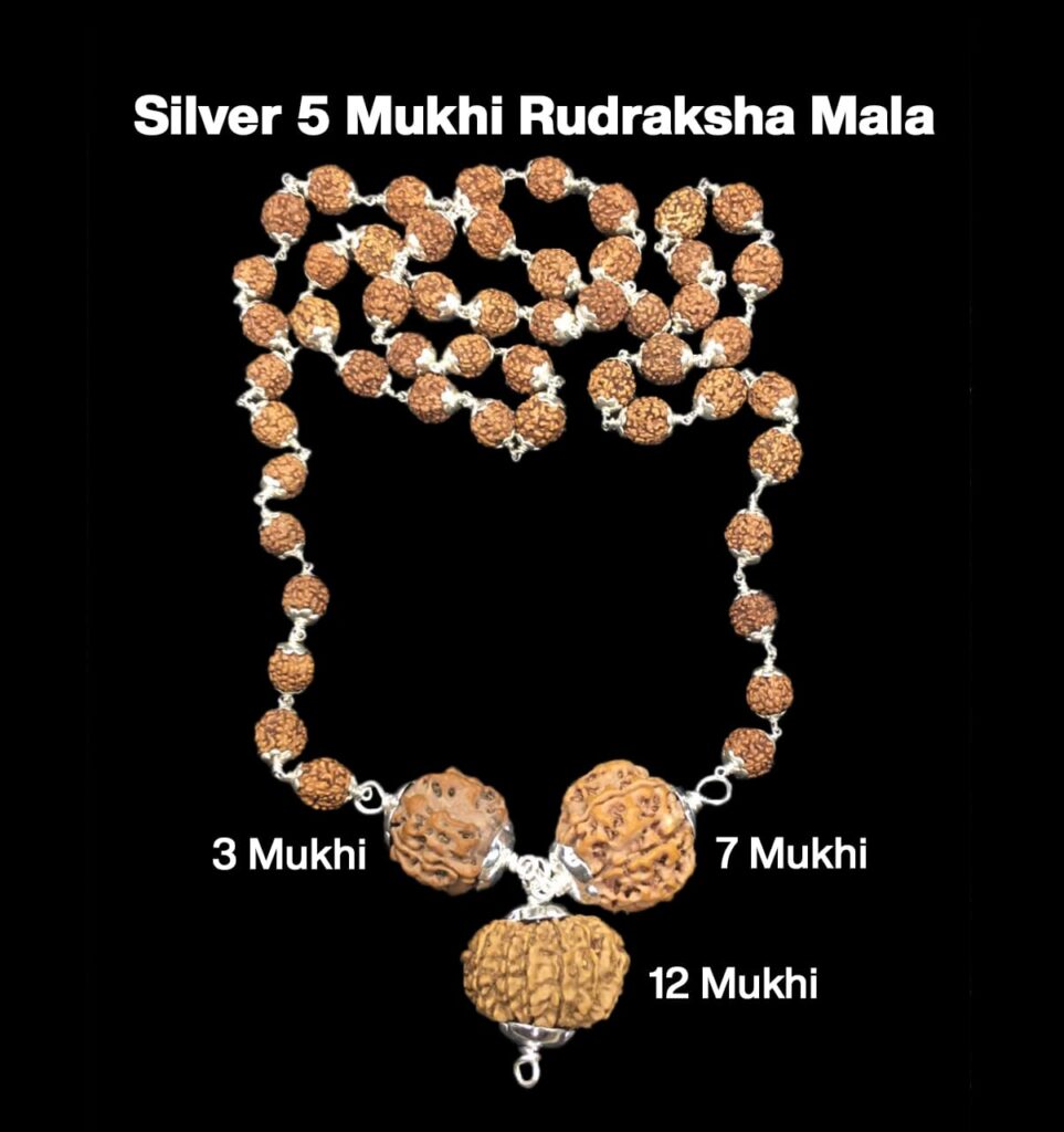 Rudraksha Combination for Career 3,7,12 Mukhi Nepal in Silver Mala