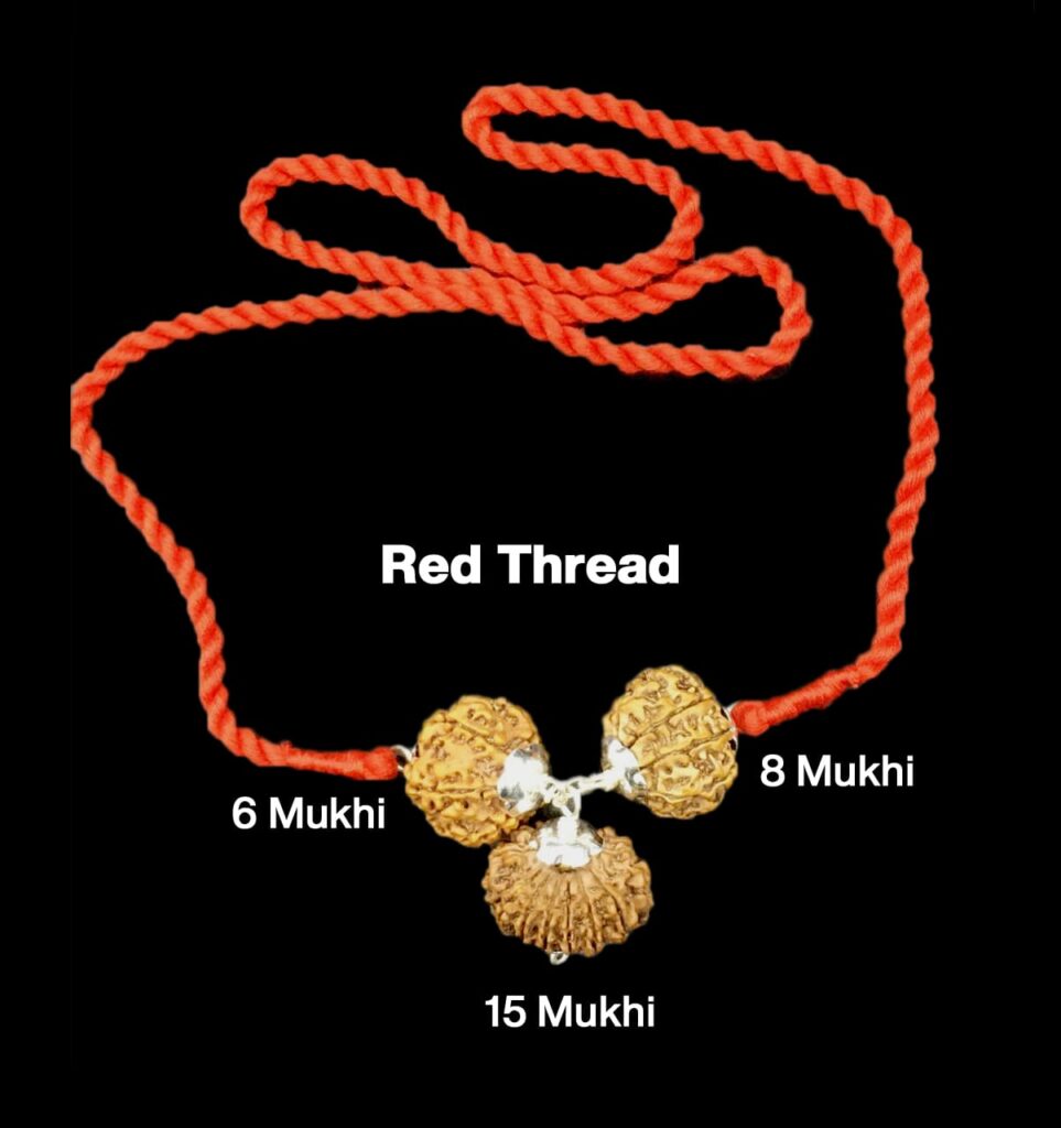 Rudraksha Combination for Business 6,8,15 Mukhi Nepal in Silver Pendant