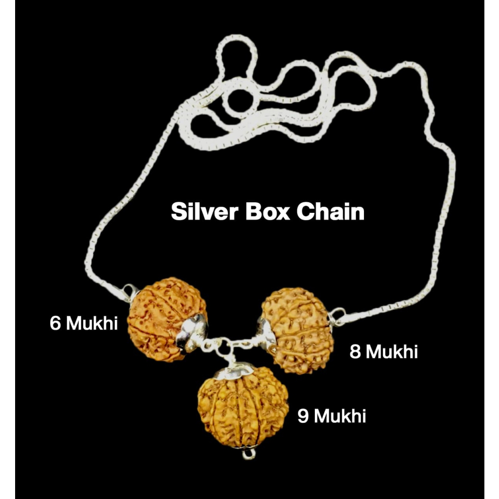 For Females in Business – 6, 8 & 9 Mukhi Rudraksha Combination (Nepal + Indonesian, Premium Thread Set)