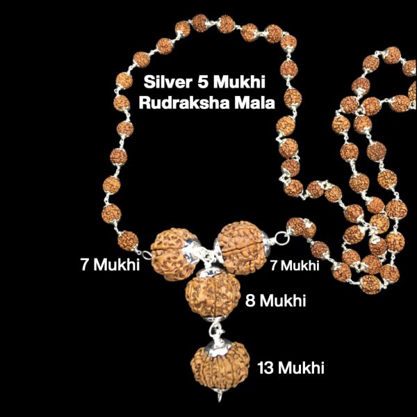 Rudraksha Combination for Business Power (Marketing & Trading) 7,7,8,13 Mukhi Nepal in Silver Mala