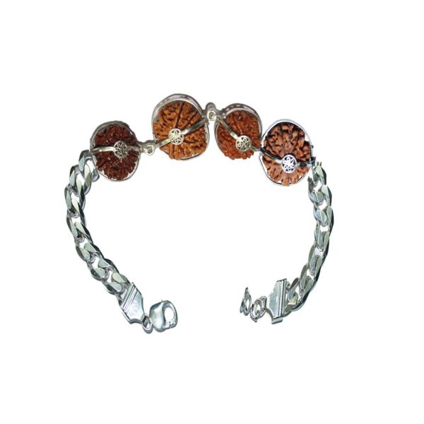 Rudraksha Combination for Business Power (Marketing & Trading) 7,7,8,13 Mukhi Nepal in Silver Bracelet