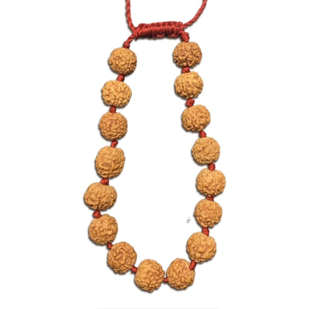 6 Mukhi Indonesian Thread Adjustable Bracelet