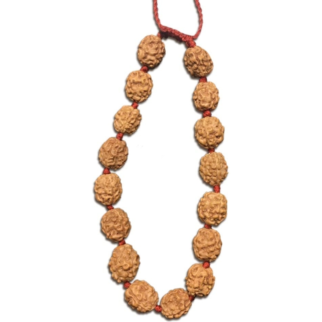4 Mukhi Indonesian Thread Adjustable Bracelet
