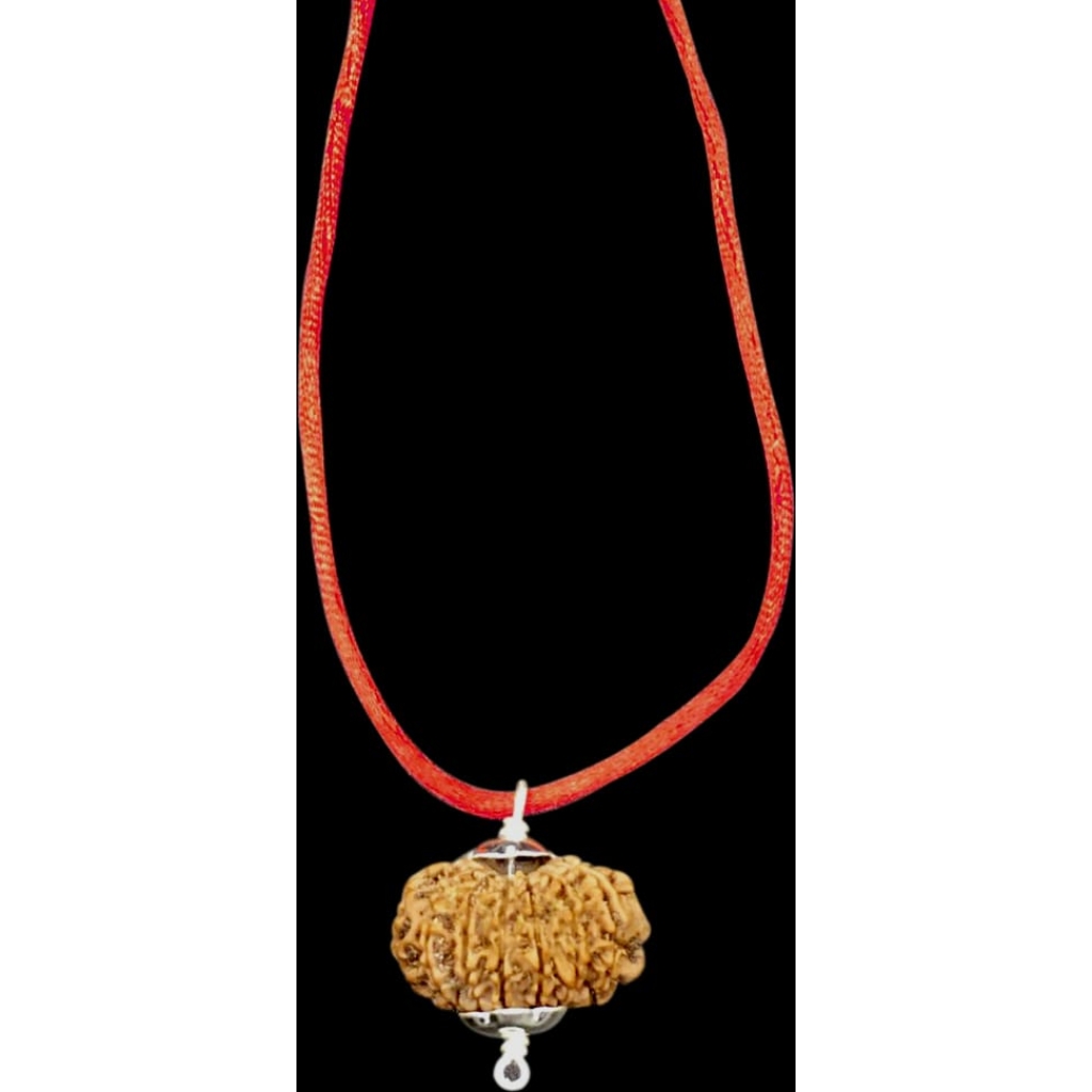 11 Mukhi Nepal Rudraksha In Pure Silver Pendant