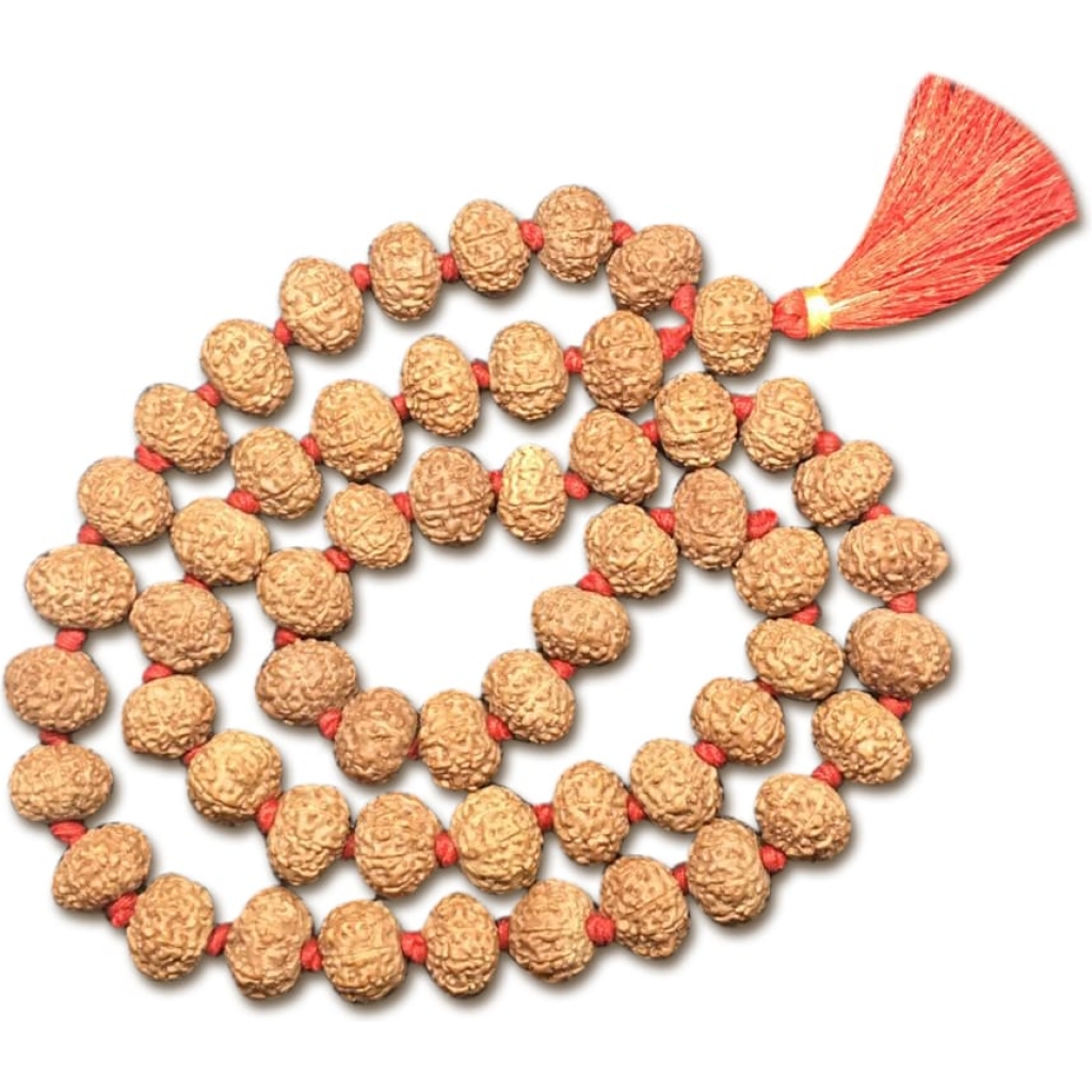 9 Mukhi Indonesian Rudraksha Mala 54 Beads (13mm-14mm)