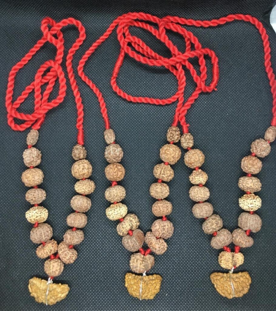 Indonesian Siddha Mala Rudraksha In Thread Indonesian Origin Medium Size Beads