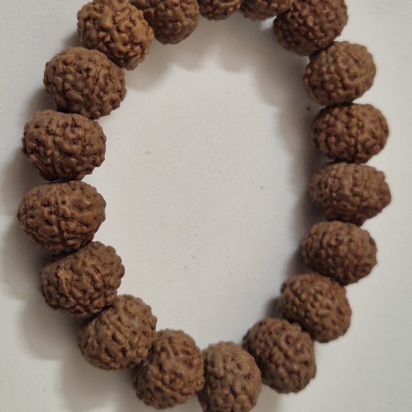Indonesian 7 Mukhi Rudraksha Wealth Bracelet | 11–14mm | X-Ray Sample Certified